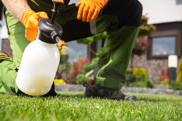 Best Cockroach Control Services  in Amity, OR