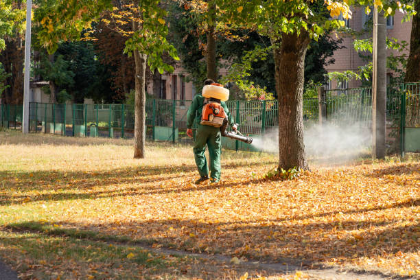Best Best Pest Control Companies  in Amity, OR