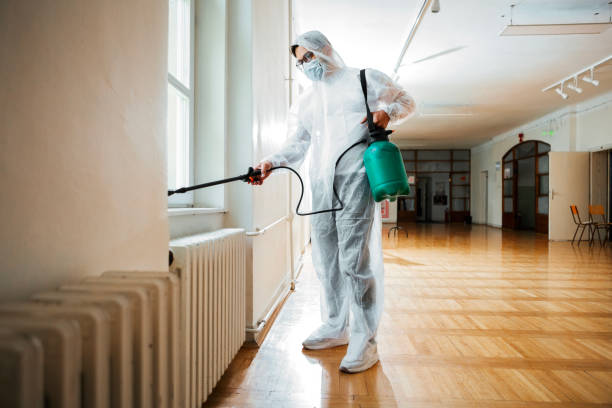 Best Mosquito Control Services  in Amity, OR