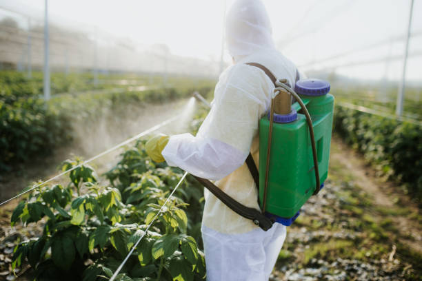 Best Pest Removal Services  in Amity, OR